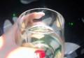 招聘导游讲师文案（探索之旅引领者：招募特色导游教学导师）